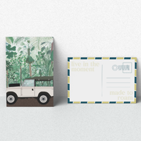 Serene with Native Trees Fragrance